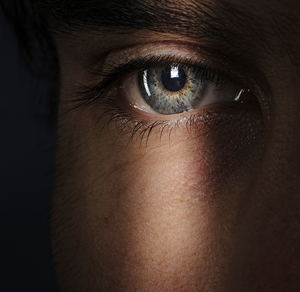 Eye + Vision
