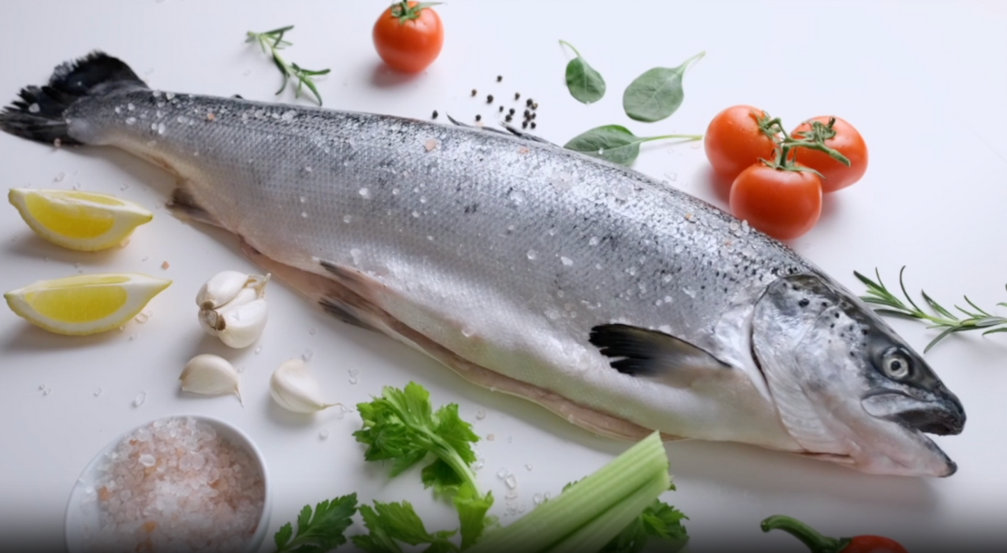 optipluslife-dr-pit-gills-explains-rtgomega3-benefits